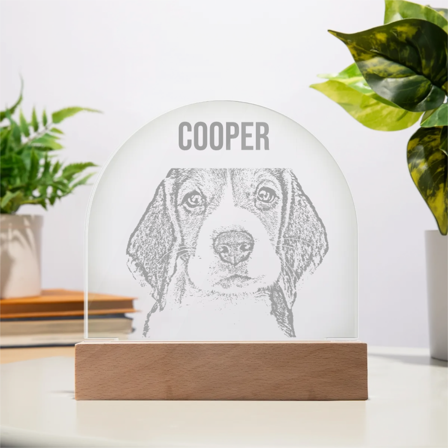 Custom Pet Acrylic Dome Plaque - Pencil Draw 🐾 - All Personalization