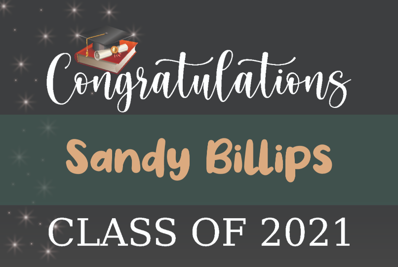 Personalized Cap and Diploma Graduation Yard Sign - All Personalization